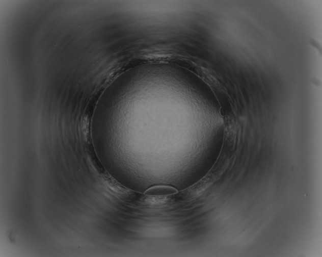 X0000092300767200710051220