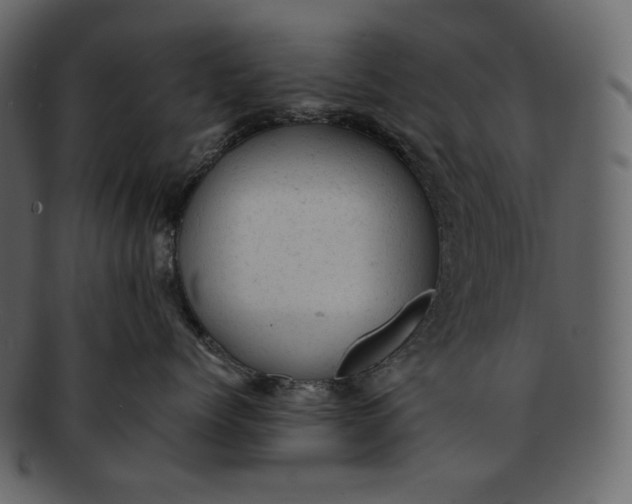 X0000092300768200710051220