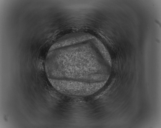 X0000092300770200710051219