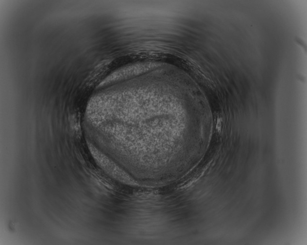 X0000092300771200710051219