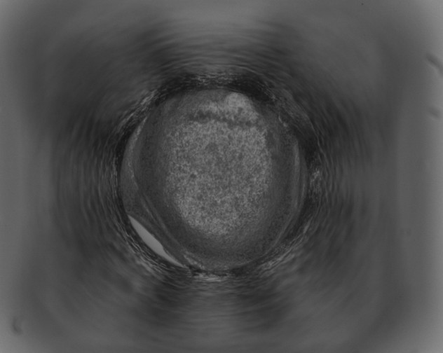 X0000092300772200710051219