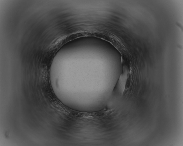 X0000092300773200710051219