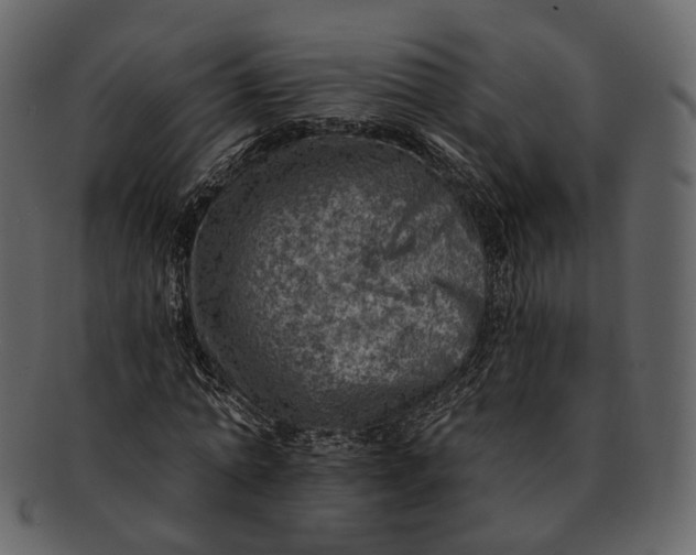 X0000092300774200710051219