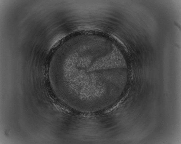 X0000092300775200710051219