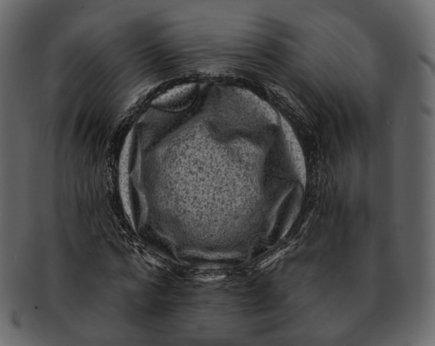 X0000092300776200710051219