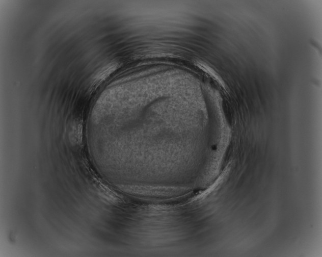 X0000092300777200710051219