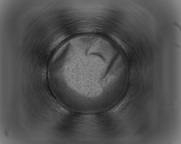 X0000092300778200710051219