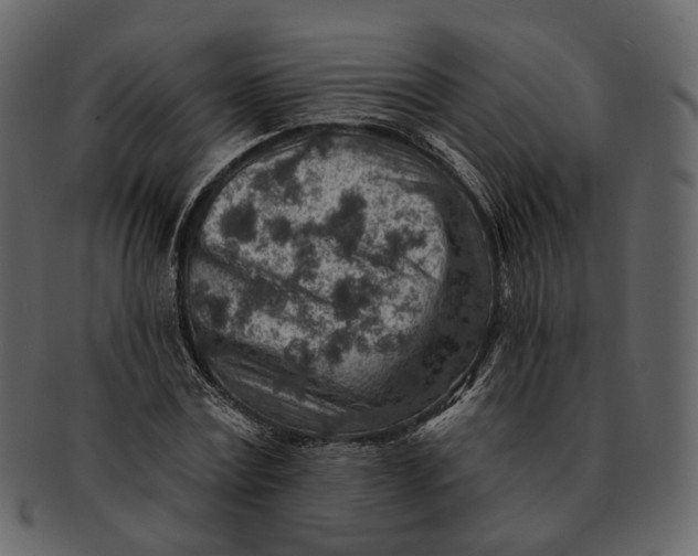 X0000092300779200710051219