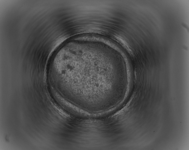 X0000092300780200710051219