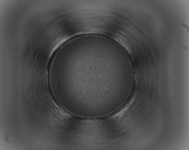 X0000092300781200710051219