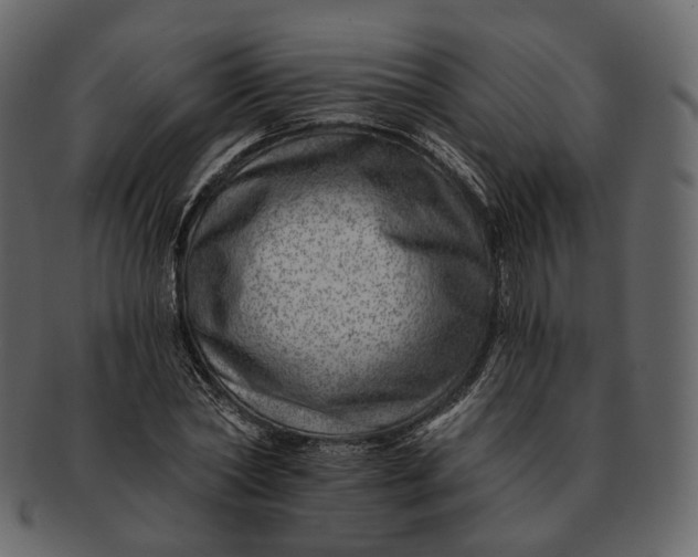 X0000092300782200710051219