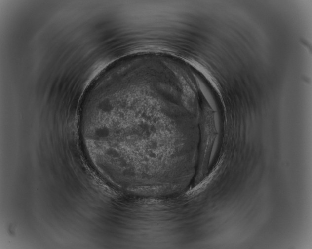 X0000092300783200710051219