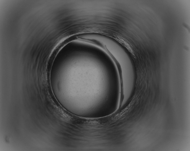 X0000092300784200710051219