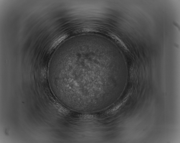 X0000092300785200710051219