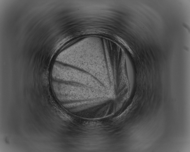 X0000092300786200710051219