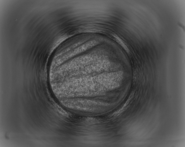 X0000092300787200710051219