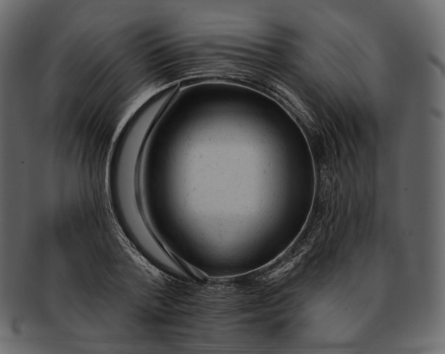 X0000092300788200710051219