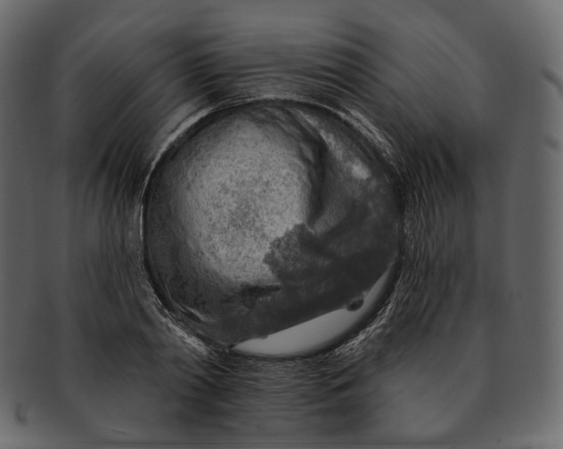 X0000092300790200710051219