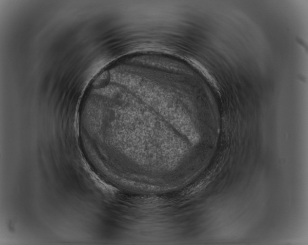 X0000092300791200710051219