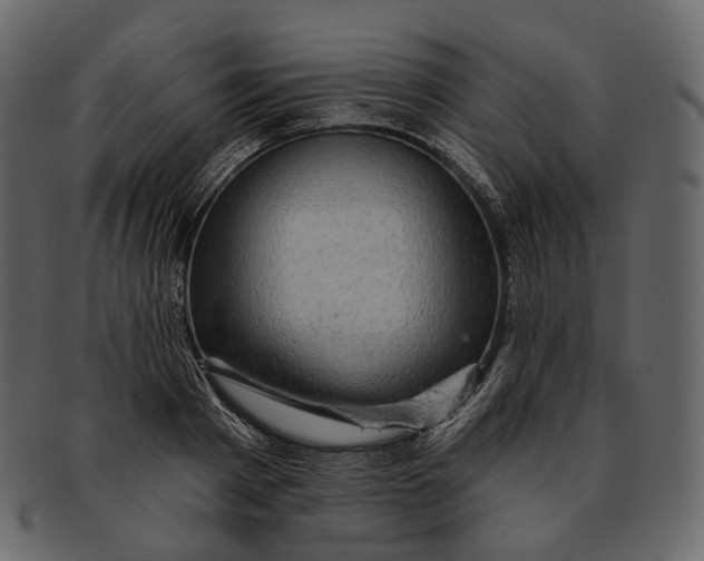 X0000092300793200710051219