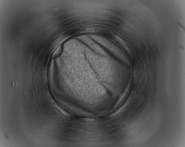 X0000092300794200710051219