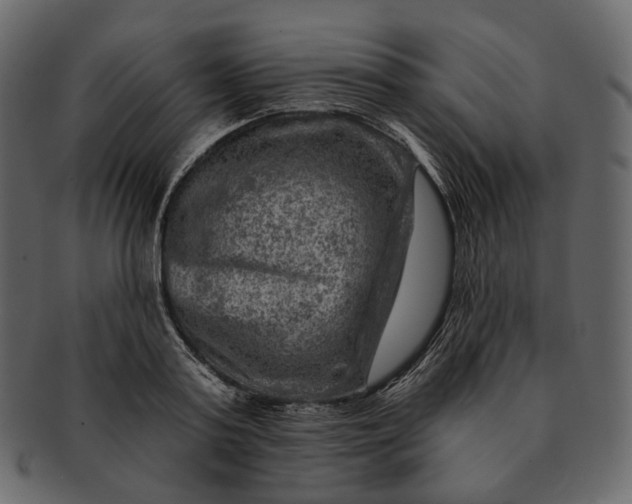 X0000092300795200710051219