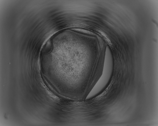 X0000092300796200710051219