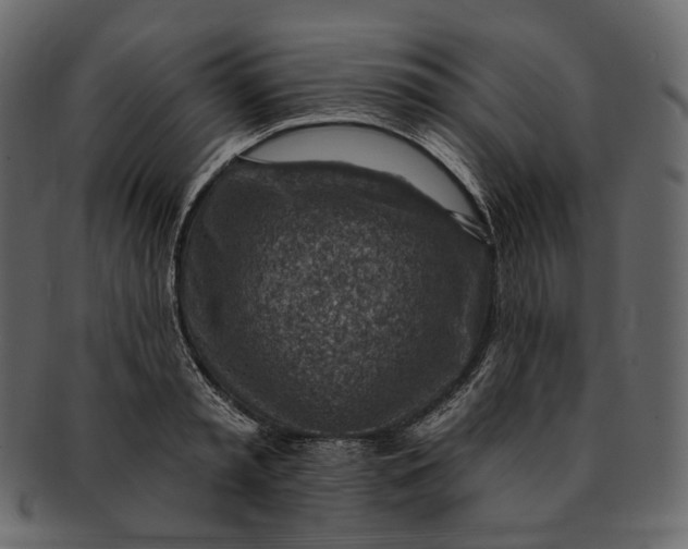 X0000092300797200710051219