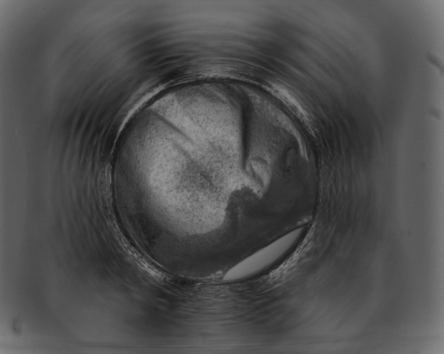 X0000092300798200710051219