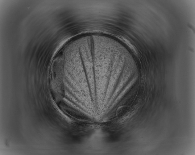 X0000092300799200710051219