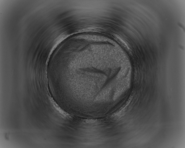 X0000092300800200710051219