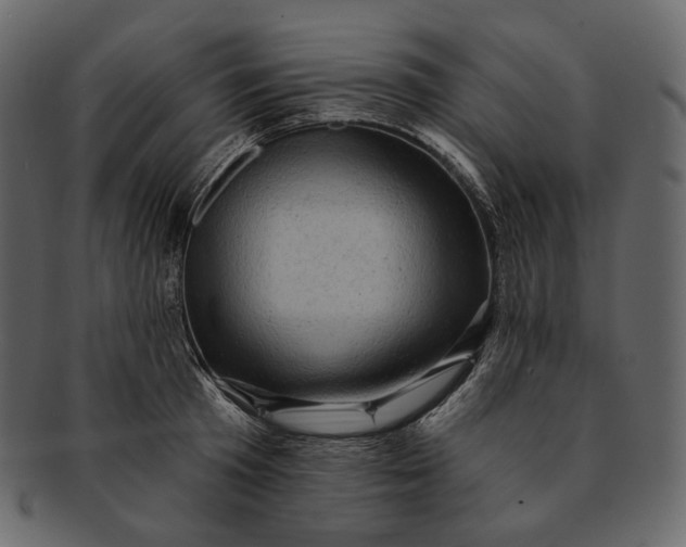 X0000092300801200710051219