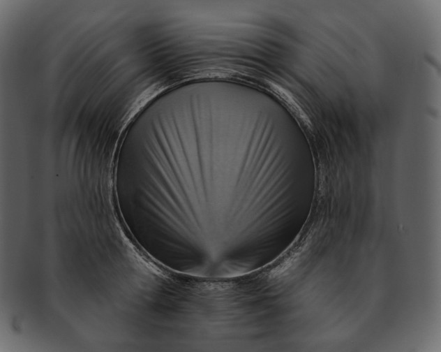 X0000092300802200710051219