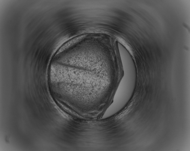 X0000092300803200710051219