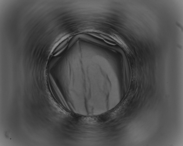 X0000092300806200710051219