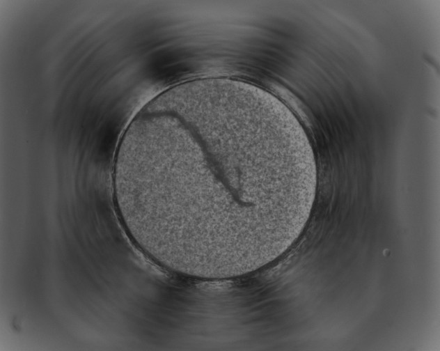 X0000092300810200710051219