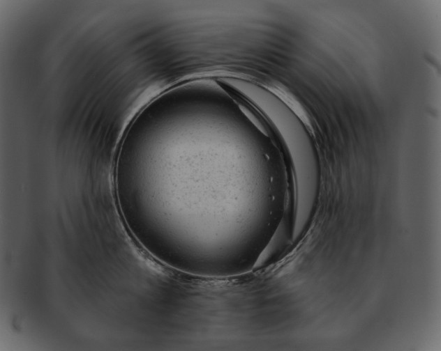 X0000092300813200710051219