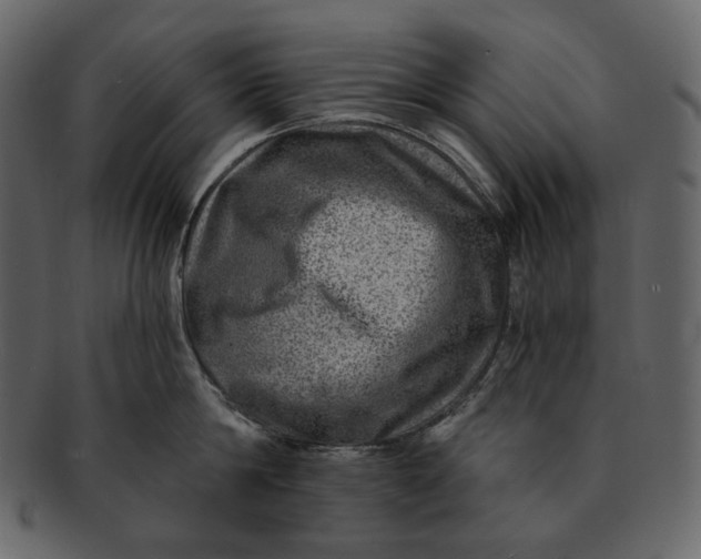 X0000092300814200710051219