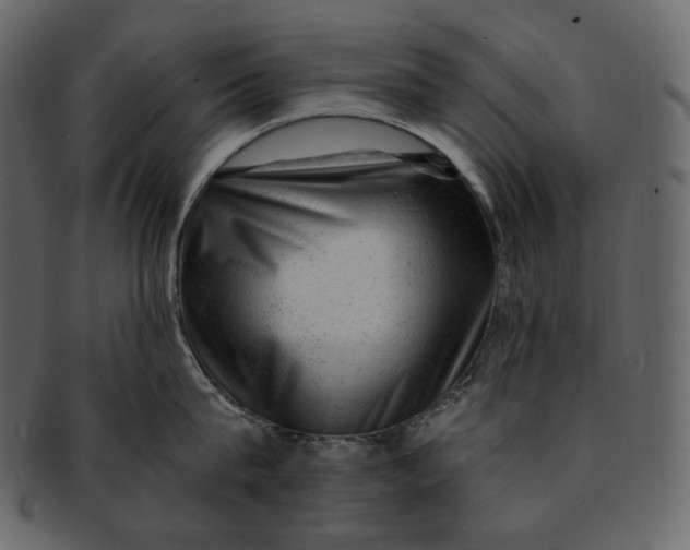 X0000092300815200710051219