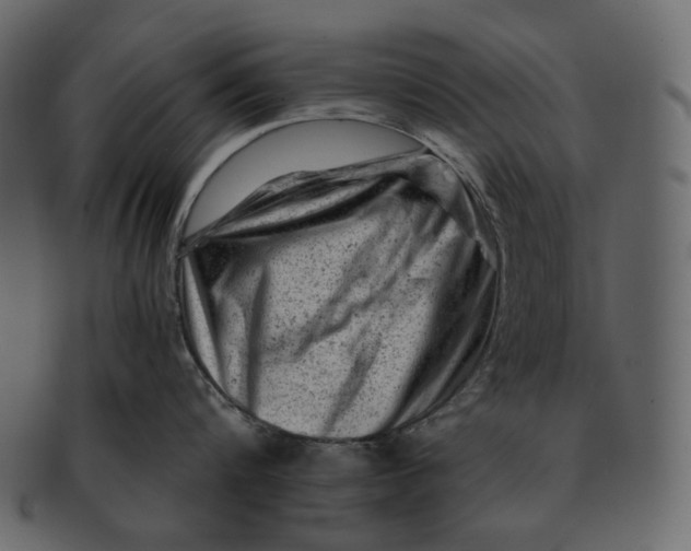 X0000092300816200710051219