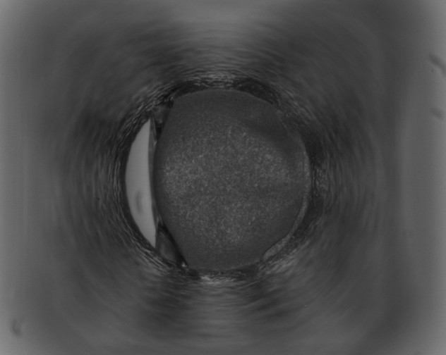 X0000092300818200710051218