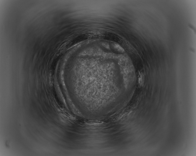 X0000092300819200710051218