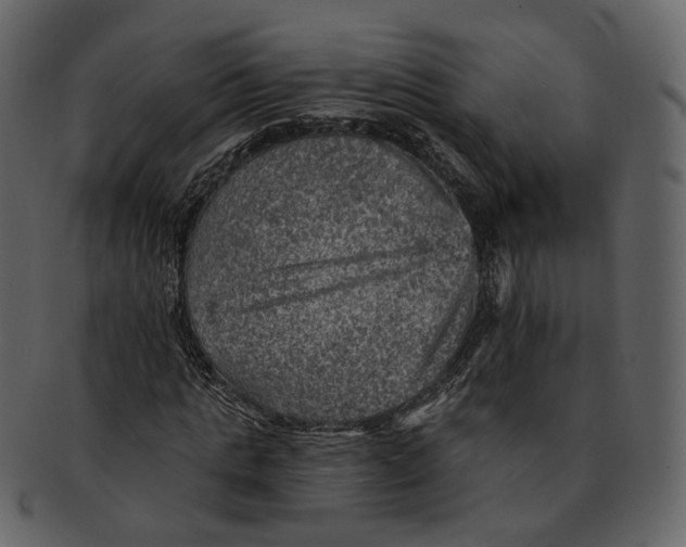 X0000092300821200710051218