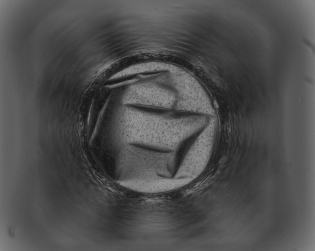 X0000092300822200710051218