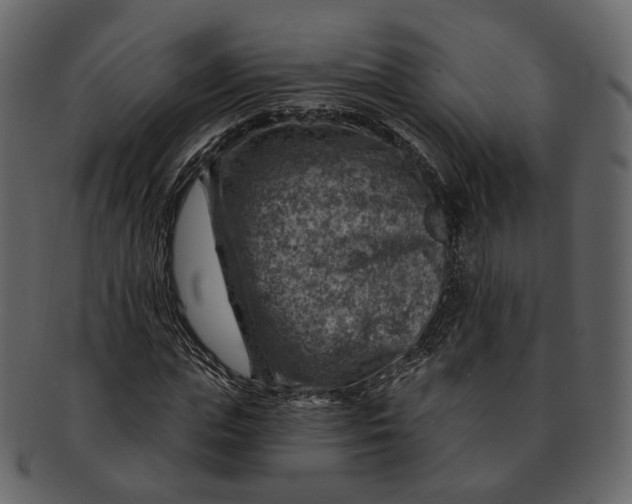 X0000092300823200710051218