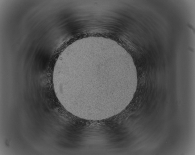 X0000092300824200710051218