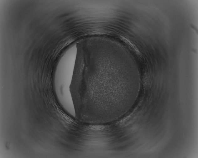 X0000092300825200710051218