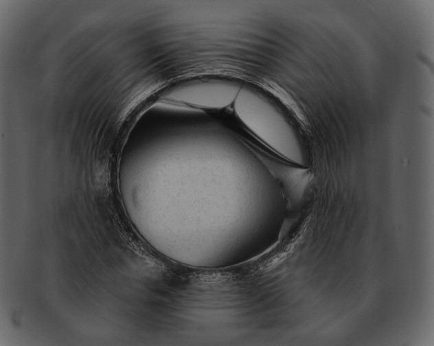 X0000092300826200710051218