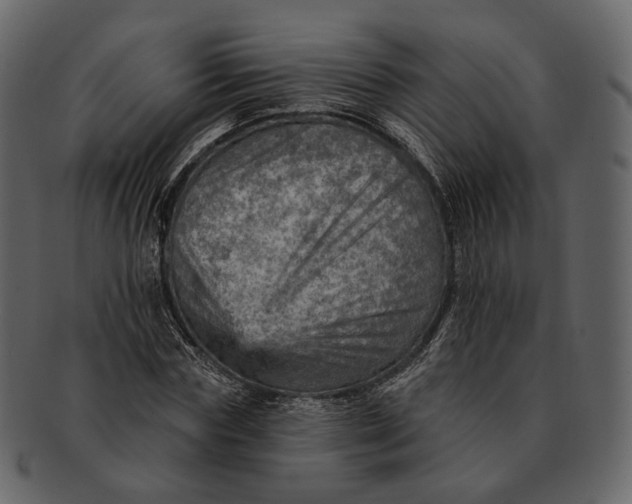 X0000092300827200710051218