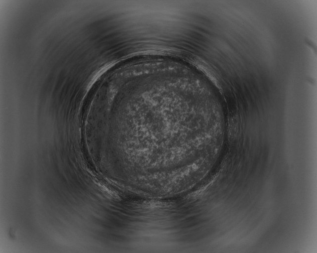 X0000092300829200710051218